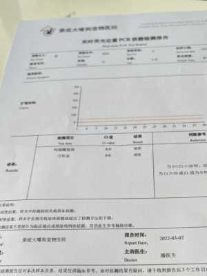 孕期查弓形虫(孕期查弓形虫多少钱) 第3张 孕期查弓形虫(孕期查弓形虫多少钱) 第3张