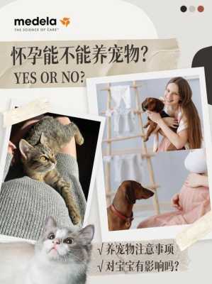 孕妇能养什么宠物,怀孕期间能养宠物吗有影响吗 第2张 孕妇能养什么宠物,怀孕期间能养宠物吗有影响吗 第2张