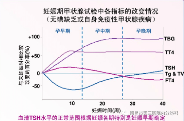 孕期内分泌(孕期内分泌) 第1张 孕期内分泌(孕期内分泌) 第1张