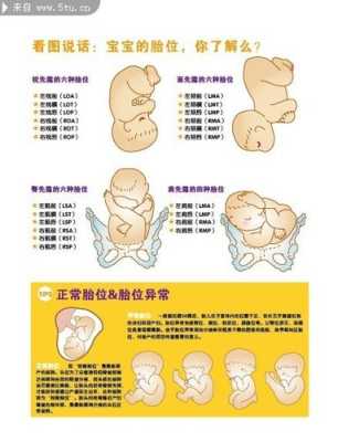 胎儿是侧身(胎儿侧身男孩女孩的图) 第1张 胎儿是侧身(胎儿侧身男孩女孩的图) 第1张