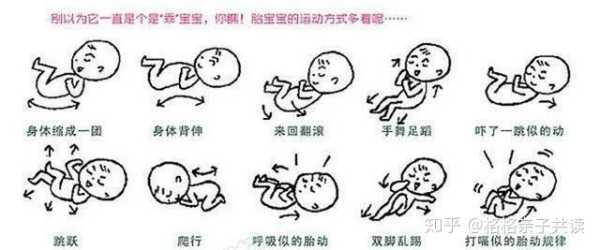 胎儿很少动(胎儿很少动是什么原因) 第2张 胎儿很少动(胎儿很少动是什么原因) 第2张