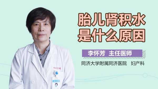怀孕期间肾积水怎么办(怀孕期间肾积水怎么办呢) 第2张 怀孕期间肾积水怎么办(怀孕期间肾积水怎么办呢) 第2张