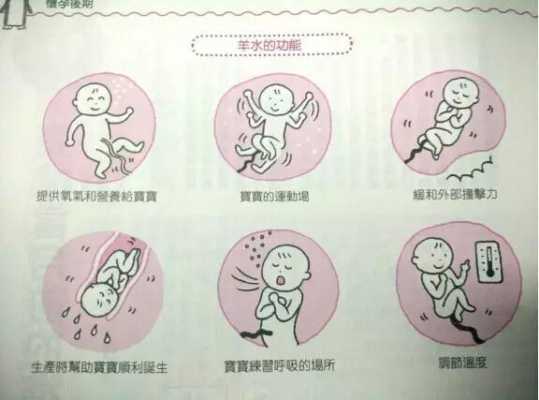 胎儿的活动(羊水的功能是限制胎儿的活动) 第1张 胎儿的活动(羊水的功能是限制胎儿的活动) 第1张