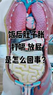 孕期屁多是什么原因(孕妇为啥老放屁怎么吃东西调理合适呢) 第2张 孕期屁多是什么原因(孕妇为啥老放屁怎么吃东西调理合适呢) 第2张