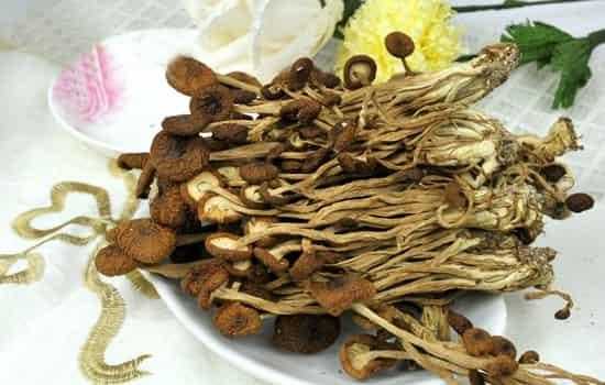 孕期可以吃茶树菇吗(孕期可以吃茶树菇吗?) 第3张 孕期可以吃茶树菇吗(孕期可以吃茶树菇吗?) 第3张