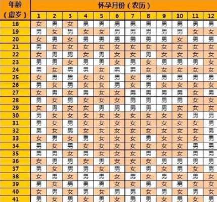 胎儿比例(2023年男女出生比例是多少) 第2张 胎儿比例(2023年男女出生比例是多少) 第2张