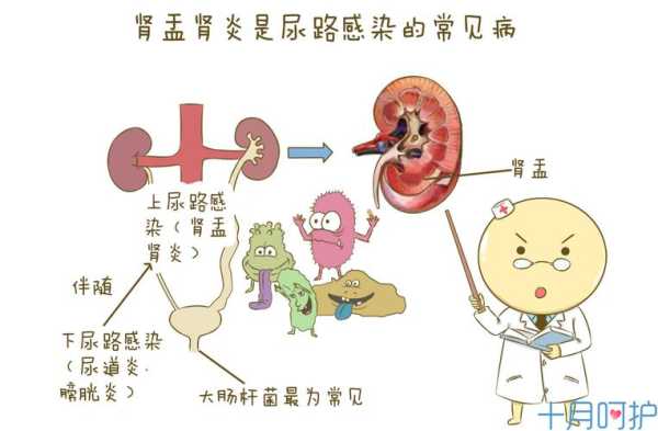 孕晚期如果查出肾不好对宝宝有影响吗,胎儿肾不好是什么原因引起的 第2张 孕晚期如果查出肾不好对宝宝有影响吗,胎儿肾不好是什么原因引起的 第2张