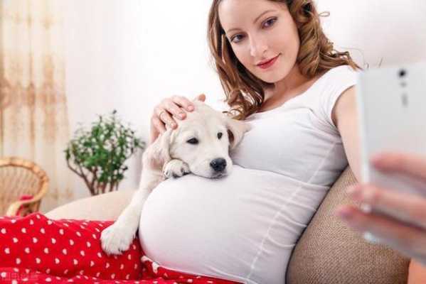 怀孕家里养狗有影响吗,怀孕期间可以养宠物吗有影响吗 第3张 怀孕家里养狗有影响吗,怀孕期间可以养宠物吗有影响吗 第3张