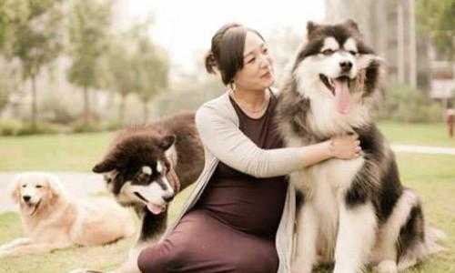 怀孕家里养狗有影响吗,怀孕期间可以养宠物吗有影响吗 第1张 怀孕家里养狗有影响吗,怀孕期间可以养宠物吗有影响吗 第1张