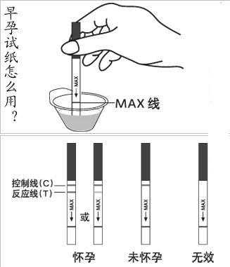 怎么测孕期(怎么测孕期时间) 第1张 怎么测孕期(怎么测孕期时间) 第1张
