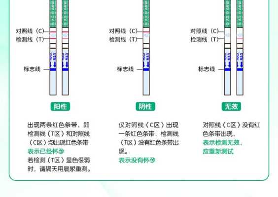 怎么测孕期(怎么测孕期时间) 第2张 怎么测孕期(怎么测孕期时间) 第2张