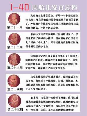 胎儿几周就能听到爸爸妈妈的声音,胎儿什么时候发育听力和视力 第3张 胎儿几周就能听到爸爸妈妈的声音,胎儿什么时候发育听力和视力 第3张