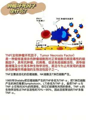 产科医生婴儿肿瘤第几集,孕期肿瘤坏死因子a高说明什么 第2张 产科医生婴儿肿瘤第几集,孕期肿瘤坏死因子a高说明什么 第2张