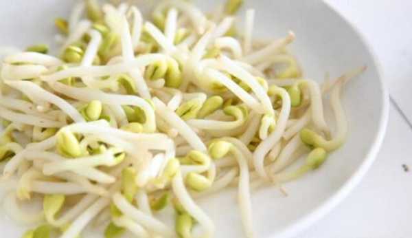 孕期吃豆芽(孕期吃豆芽好不好) 第2张 孕期吃豆芽(孕期吃豆芽好不好) 第2张