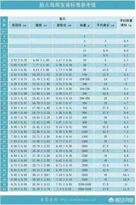 胎儿92双(胎儿双顶92mm有多少斤) 第2张 胎儿92双(胎儿双顶92mm有多少斤) 第2张