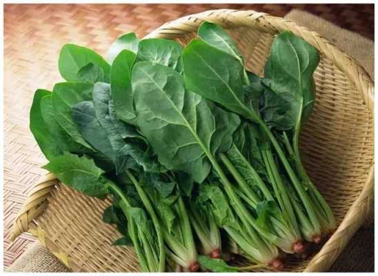 孕期菠菜(孕妇多吃什么蔬菜好) 第3张 孕期菠菜(孕妇多吃什么蔬菜好) 第3张