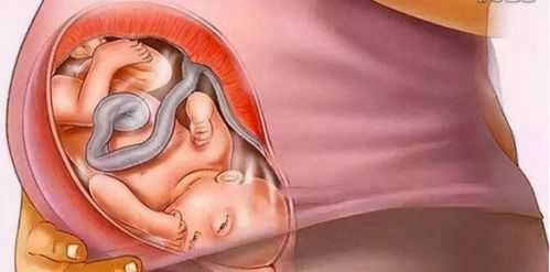 孩子是怎么孕育出来的,胎儿是怎么来的视频 第3张 孩子是怎么孕育出来的,胎儿是怎么来的视频 第3张