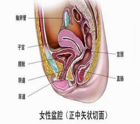 怀孕了有盆腔积液怎么办,孕期有盆腔积液怎么办啊 第1张 怀孕了有盆腔积液怎么办,孕期有盆腔积液怎么办啊 第1张