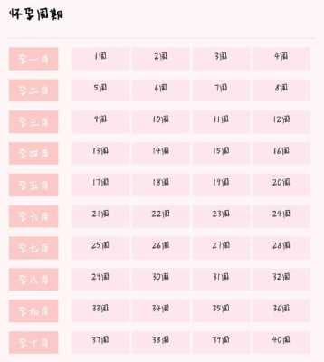 孕期20周是几个月（孕期20周是几个月了）  第2张