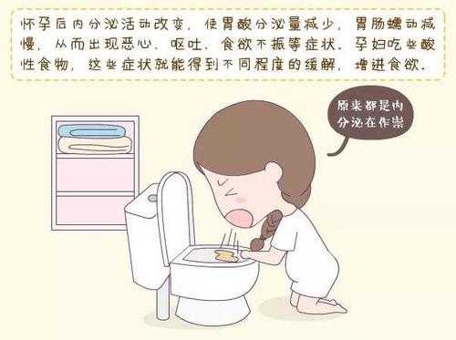 怀孕期间胃酸怎么回事(怀孕了喜欢吃酸的怎么回事) 第1张 怀孕期间胃酸怎么回事(怀孕了喜欢吃酸的怎么回事) 第1张