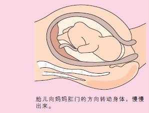 胎儿入骨盆(胎儿如何从产道出来) 第2张 胎儿入骨盆(胎儿如何从产道出来) 第2张