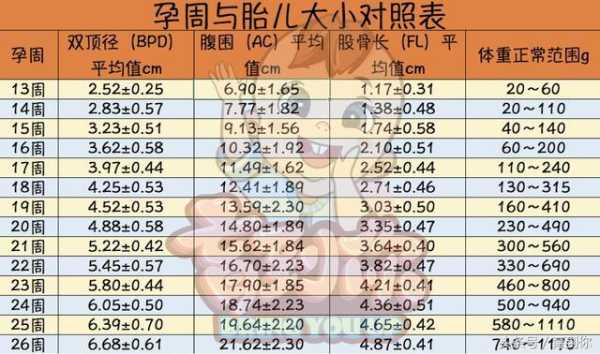 怎样计算胎儿大小(怎样计算胎儿大小) 第1张 怎样计算胎儿大小(怎样计算胎儿大小) 第1张