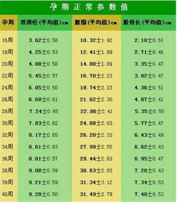 胎儿6.8(34周股骨长6.8会太矮吗) 第1张 胎儿6.8(34周股骨长6.8会太矮吗) 第1张