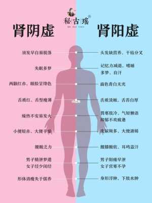 孕期肾虚（孕期肾虚的表现症状有哪些）  第1张