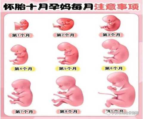 怀孕胎儿偏大(怀孕34周宝宝偏大怎么控制饮食呢) 第2张 怀孕胎儿偏大(怀孕34周宝宝偏大怎么控制饮食呢) 第2张
