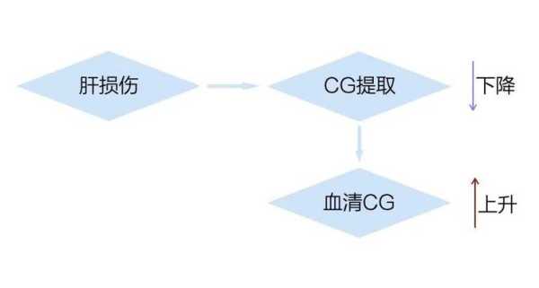 孕期甘胆酸(甘胆酸CG什么意思) 第2张 孕期甘胆酸(甘胆酸CG什么意思) 第2张