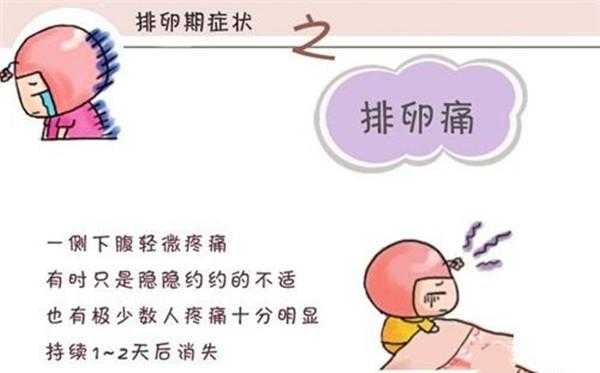 怀孕期会排卵吗(怀孕期会排卵吗会怀孕吗) 第1张 怀孕期会排卵吗(怀孕期会排卵吗会怀孕吗) 第1张