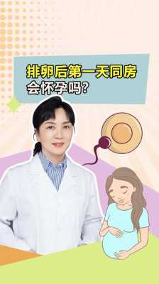 怀孕期会排卵吗(怀孕期会排卵吗会怀孕吗) 第2张 怀孕期会排卵吗(怀孕期会排卵吗会怀孕吗) 第2张