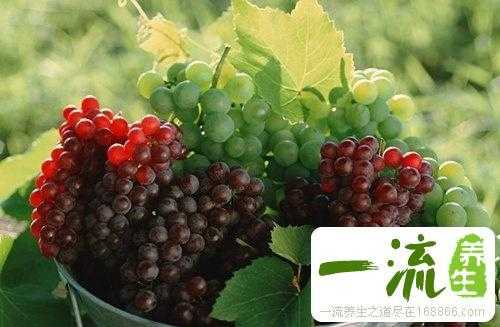 吃葡萄对孕妇有什么好处,孕妇吃葡萄对胎儿好吗有影响吗 第1张 吃葡萄对孕妇有什么好处,孕妇吃葡萄对胎儿好吗有影响吗 第1张