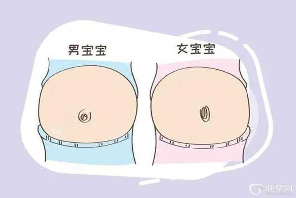 儿子肚和女儿肚区别,孕期肚型图 第1张 儿子肚和女儿肚区别,孕期肚型图 第1张