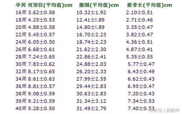 孕期涨多少(孕期双顶径、股骨长标准) 第2张 孕期涨多少(孕期双顶径、股骨长标准) 第2张