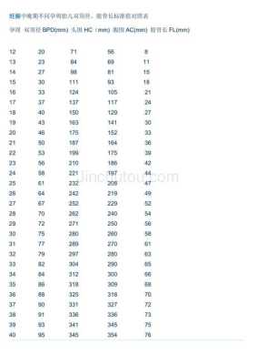 孕期涨多少(孕期双顶径、股骨长标准) 第3张 孕期涨多少(孕期双顶径、股骨长标准) 第3张