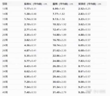 胎儿股骨径是什么(胎儿股骨径是什么意思?) 第2张 胎儿股骨径是什么(胎儿股骨径是什么意思?) 第2张