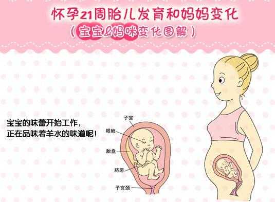 宫缩时胎儿在干嘛(宫缩时胎儿在干嘛图片) 第3张 宫缩时胎儿在干嘛(宫缩时胎儿在干嘛图片) 第3张