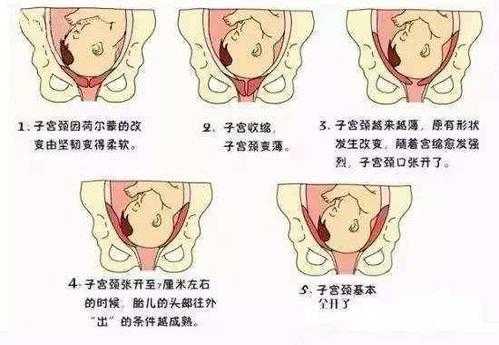 初产孕妇孕晚期一般宝宝什么时候入盆,入盆后隔多久会生产,孕晚期胎儿几周入盆正常 第2张 初产孕妇孕晚期一般宝宝什么时候入盆,入盆后隔多久会生产,孕晚期胎儿几周入盆正常 第2张