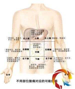 宝宝前胸肋骨突出了该怎么办才好的啊,胎儿顶肋骨疼说明什么 第2张 宝宝前胸肋骨突出了该怎么办才好的啊,胎儿顶肋骨疼说明什么 第2张