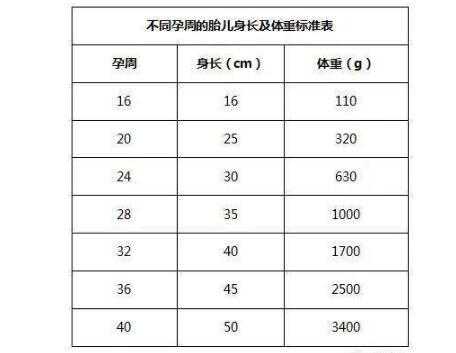 怎样算出胎儿体重(孕37周胎儿标准体重是多少?不知道咋样知道标准体重) 第2张 怎样算出胎儿体重(孕37周胎儿标准体重是多少?不知道咋样知道标准体重) 第2张