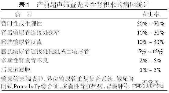 胎儿肾积水正常范围(小孩生下来肾吸水11MM会好吗) 第1张 胎儿肾积水正常范围(小孩生下来肾吸水11MM会好吗) 第1张
