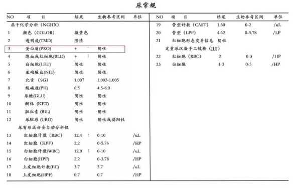孕期尿蛋白1个加号(孕期尿蛋白1个加号正常吗) 第3张 孕期尿蛋白1个加号(孕期尿蛋白1个加号正常吗) 第3张
