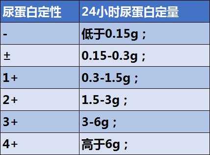 孕期尿蛋白1个加号(孕期尿蛋白1个加号正常吗) 第1张 孕期尿蛋白1个加号(孕期尿蛋白1个加号正常吗) 第1张