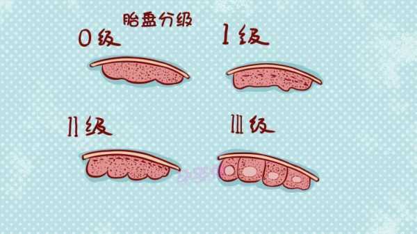 生孩子的时候胎盘一般达到几级,胎儿几周长胎盘开始分泌孕激素 第1张 生孩子的时候胎盘一般达到几级,胎儿几周长胎盘开始分泌孕激素 第1张