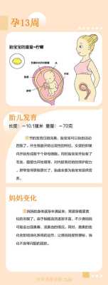 怀孕13周胎儿有多大?正常值应该是怎么样的呢?孕妇要如何补充营养,孕13周胎儿发育情况图片 第2张 怀孕13周胎儿有多大?正常值应该是怎么样的呢?孕妇要如何补充营养,孕13周胎儿发育情况图片 第2张