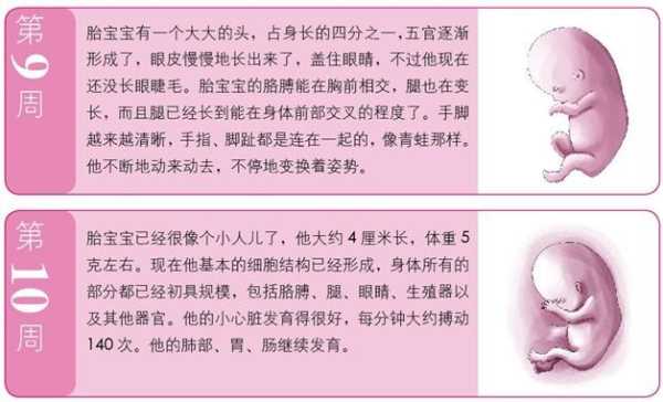 六个月的宝宝被人吓着了,会有一些什么症状表现出来的呢,怀孕放烟花会吓到胎儿吗 第2张 六个月的宝宝被人吓着了,会有一些什么症状表现出来的呢,怀孕放烟花会吓到胎儿吗 第2张