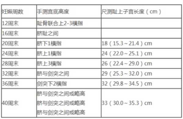 怎样评估胎儿体重(怎样评估胎儿体重准确) 第2张 怎样评估胎儿体重(怎样评估胎儿体重准确) 第2张
