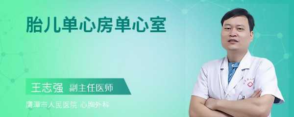 单心室的胎儿(单心室的胎儿能生吗) 第2张 单心室的胎儿(单心室的胎儿能生吗) 第2张