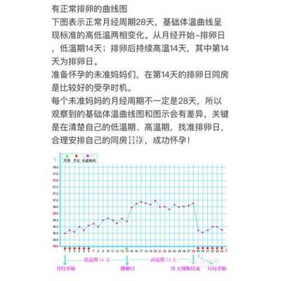【孕妇体温比正常人高多少】,早孕期体温多少正常 第1张 【孕妇体温比正常人高多少】,早孕期体温多少正常 第1张